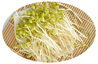 ʷ�����10����ʳ_�����ڳ���