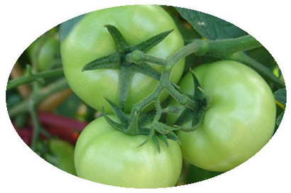 ʷ�����10����ʳ_�����ڳ���