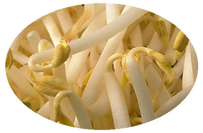 ʷ�����10����ʳ_�����ڳ���