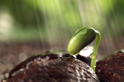 �İ��ʲ��У��Կ�������Ϊ����_������Ϊ������֪