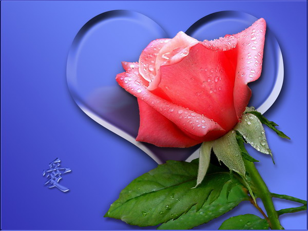 ����������ϴ��60�궼û������α��������