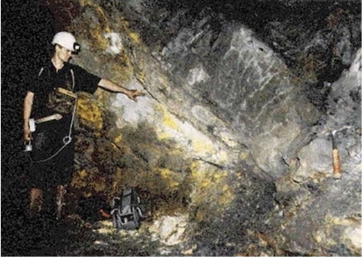 3����ǰ��3D�����ѿ�ѧ�Ҿ���Ŀ�ɿڴ�