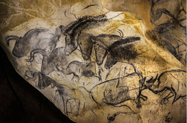 3����ǰ��3D�����ѿ�ѧ�Ҿ���Ŀ�ɿڴ�