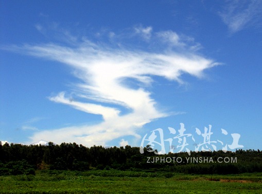 ������̨ɽ�����˷�����������