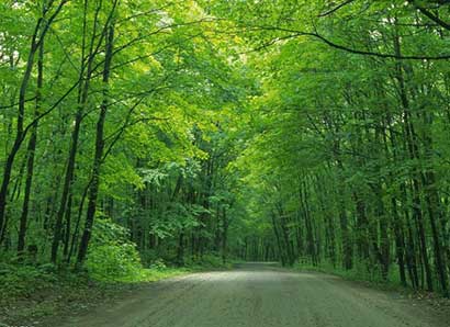 ��һ����أ�����һ��_�൱����82����