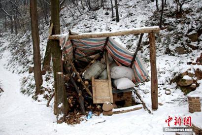 83岁终南山“茅棚隐士”:与山为伴_与人为善 83岁终南山“茅棚隐士”:与山为伴_与人为善