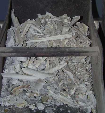 ���᳡���š��������������Σ�