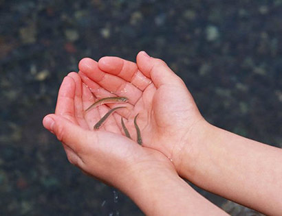 ʮ���ֲ���Ǯ�ķ���_ͬ����������