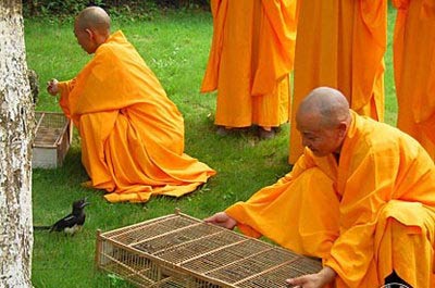 ʮ���ֲ���Ǯ�ķ���_ͬ����������