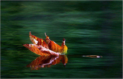 佛眼看婚姻:今生爱人前世葬送你 佛眼看婚姻:今生爱人前世葬送你