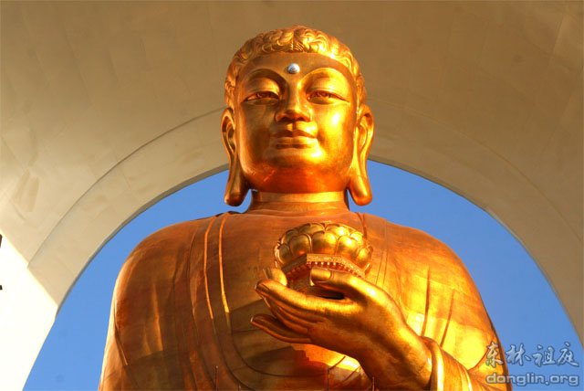 ������ʮ����Щ����ã���ʵ�õ�����ָ��