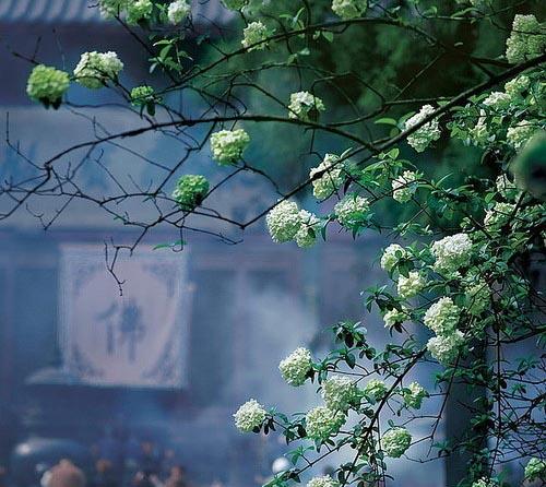 ����ȥ��Ժ������Ը��10��Ҫ������������