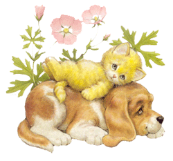 Ѫ�ܱ���ȫ�������ϼ���Ѫ���ϻ�5��ɱ�֣�