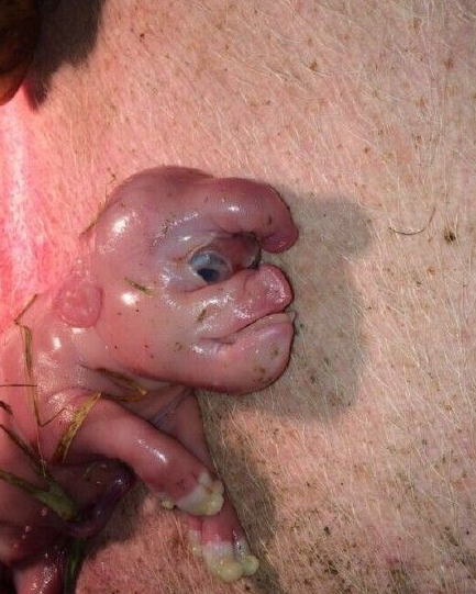 ����ĸ�������������̣�����������գ������ֻ���ʵ���飬������