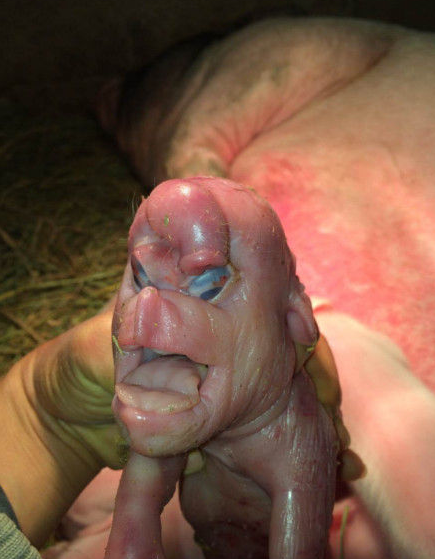 ����ĸ�������������̣�����������գ������ֻ���ʵ���飬������