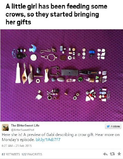 �����Ůͯ����ʳι��ѻ ��ѻ�͡��������