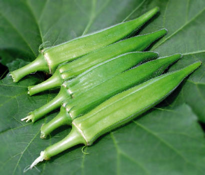 ��ʳ���̣������ʳ����ʳ��֮��