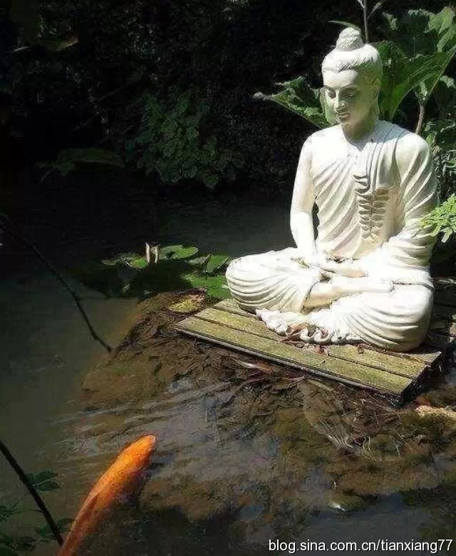 ��������������һ����