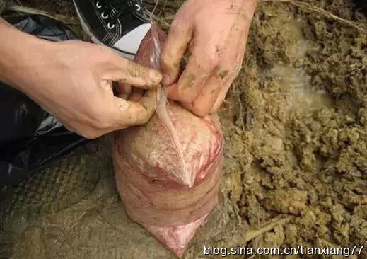 ��������������һ����