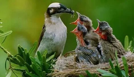 ��������������һ����