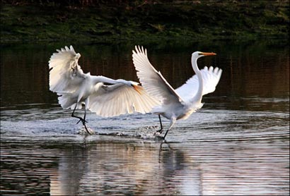 ������̾���ѵ���Ե_�׺ױ�����300����