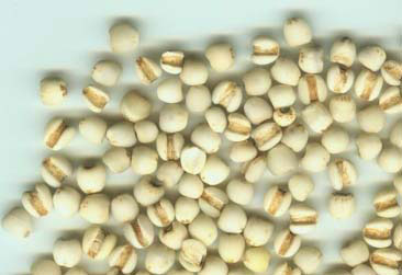 ��ͷ��һ������Ĳ�����