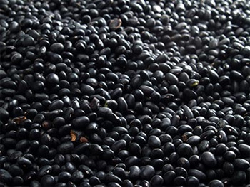 ��ͷ��һ������Ĳ�����