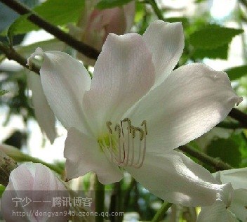 ��ͷ��һ������Ĳ�����