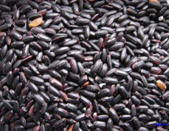 ��ͷ��һ������Ĳ�����