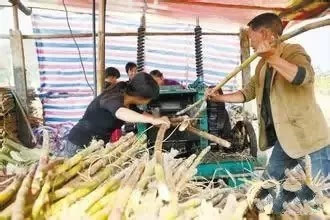 �ȶ��߻����������ں�ǧ��Ҫ�ȣ��ԣ������