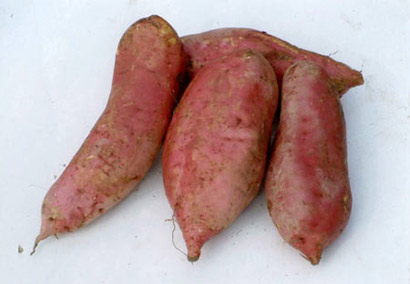 �ž���֢�����￪ʼ_������ʳ����Զ�방֢