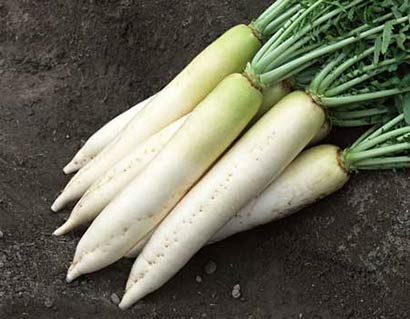 �ž���֢�����￪ʼ_������ʳ����Զ�방֢