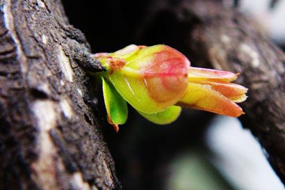 星云大师:生命不到万分绝望_都要继续保持希望 星云大师:生命不到万分绝望_都要继续保持希望