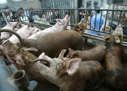 һλ��ʳ�ߵ������ף����򹤼�