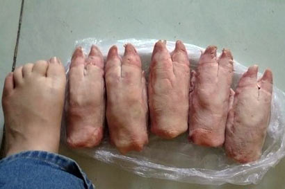 һλ��ʳ�ߵ������ף����򹤼�