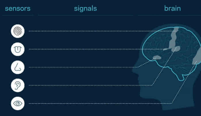 ���ൽ���ж��޴�����Oculus����ϯ��ѧ�Ҹ�����