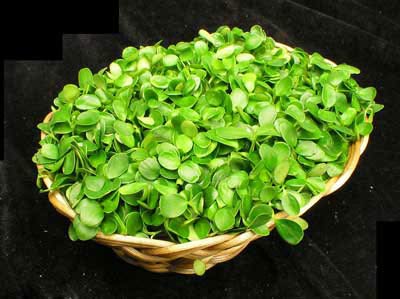 ���ճ���_���7�ִ�ѿ���潡��