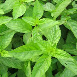 ���ճ���_���7�ִ�ѿ���潡��