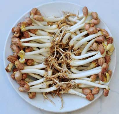 ���ճ���_���7�ִ�ѿ���潡��