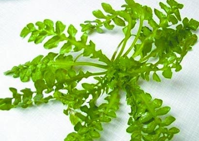 ���ճ���_���7�ִ�ѿ���潡��