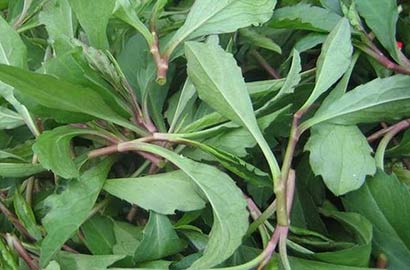 ���ճ���_���7�ִ�ѿ���潡��