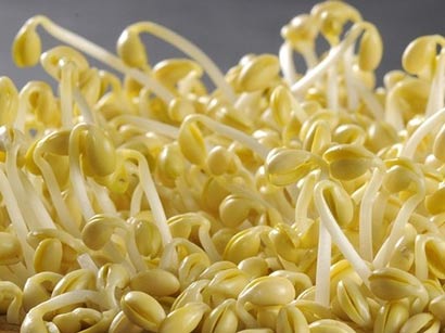 ���ճ���_���7�ִ�ѿ���潡��