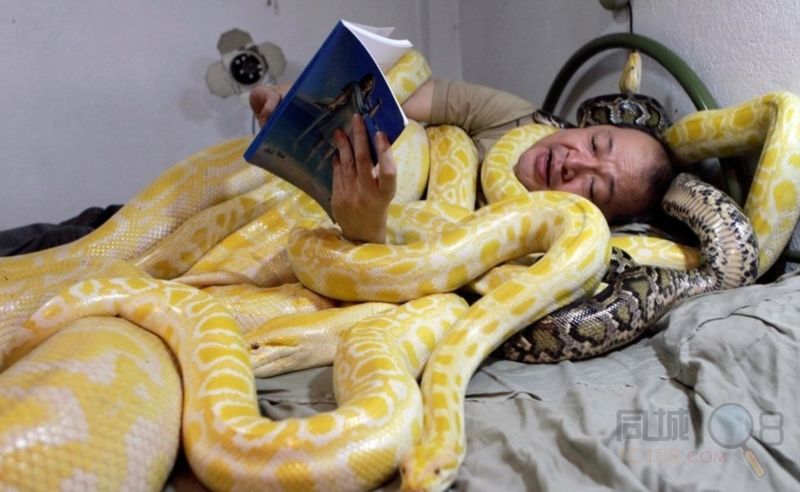 躺着看经来生会变蛇---宣化上人 躺着看经来生会变蛇---宣化上人