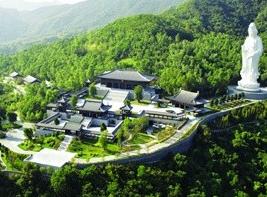 ��ѧ����Ϊ�����׸�