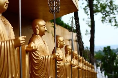 й����������δѧ