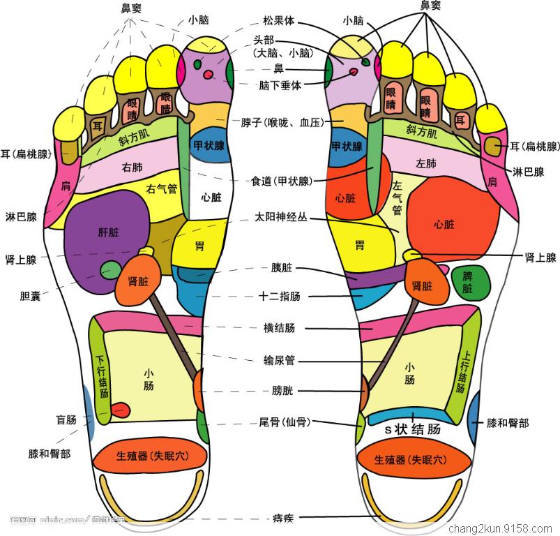 ����3���ź�͸¶��������