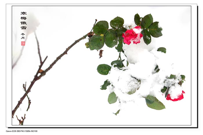 切记朋友间六种忙不能帮 切记朋友间六种忙不能帮