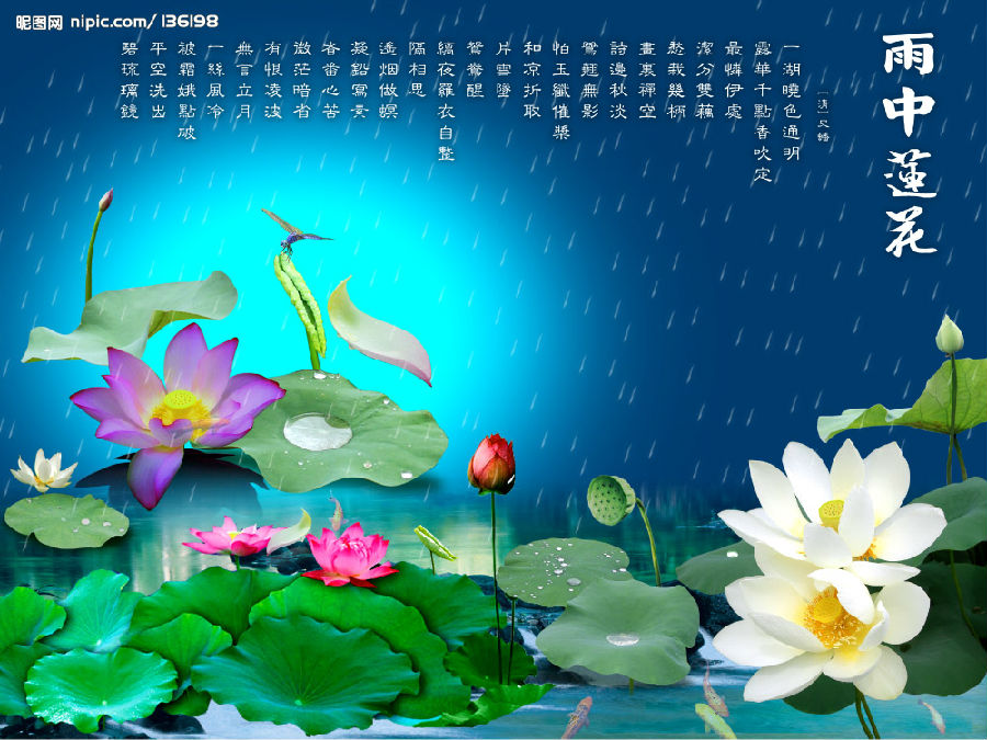 �����徻��ʲô��˼��