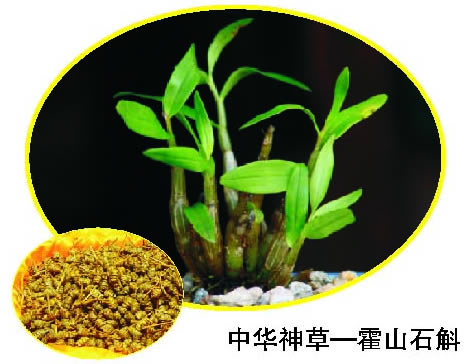 ��ҽ�Ƕȿ����Ķ����˻�