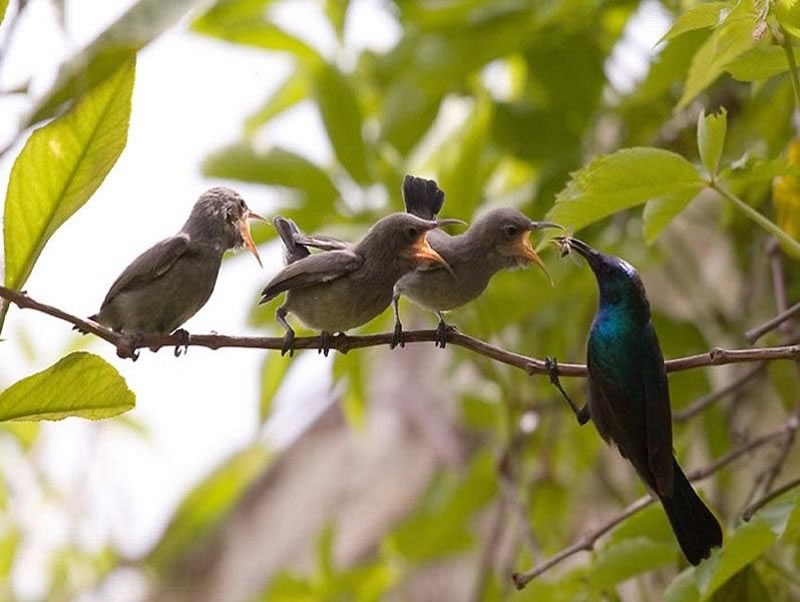 �������ɡ����ӹ桷�����������ܡ��Ľ����ɱ��ͼҳ���äĿ�ڴ�